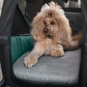 Bed voor fietskar Thule Bexey Dog Bed L