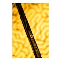 Composiet ijshockeystick Bauer  PROTO R GOLD Grip Intermediate