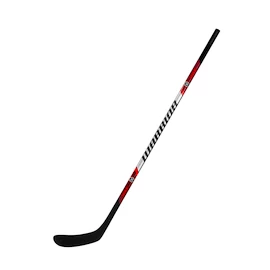 Composiet ijshockeystick Warrior Rise Youth