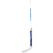 Composiet ijshockeystick Warrior Ritual V2 E+ Senior