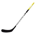 Composiet ijshockeystick WinnWell  300 Youth