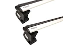 Dakdrager Thule met EVO WingBar Mazda CX-30 (DM) 5-Dr SUV met geïntegreerde dakrails 20+