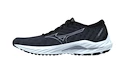 Dames hardloopschoenen Mizuno  Wave Inspire 19 Black/Silverstar/Snowcrest  UK 4