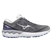 Dames hardloopschoenen Mizuno  Wave Skyrise Wave Skyrise 2 / Blackened Pearl / Silver / Antarctica  UK 7,5