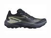 Dames hardloopschoenen Salomon Genesis W Carbon/Grisaille/Aloe Wash  UK 4,5