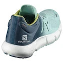 Dames hardloopschoenen Salomon Predict 2 Icy Morn