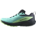 Dames hardloopschoenen Salomon Sense Ride 5 Gtx Blue Radiance / Green Ash / India Ink