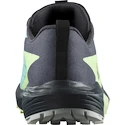 Dames hardloopschoenen Salomon Sense Ride 5 Gtx Blue Radiance / Green Ash / India Ink