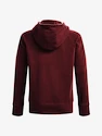 Dames hoodie Under Armour  Rival Fleece Logo Hoodie-RED