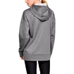 Dames hoodie Under Armour  Synthetic Fleece Chenille Logo PO Hooodie grey