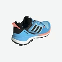 Dames outdoorschoenen adidas  Terrex Skychaser 2 GTX W Blue