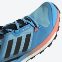 Dames outdoorschoenen adidas  Terrex Skychaser 2 GTX W Blue