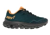 Dames outdoorschoenen Inov-8  Rocfly G 350 Pine/Nectar