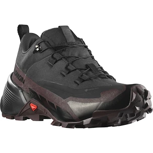 Dames outdoorschoenen Salomon  CROSS HIKE GTX 2 W