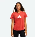 Dames T-shirt adidas  Bos Logo Tee