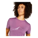 Dames T-shirt Icebreaker Merino 150 Tech Lite SS T South Const Deco