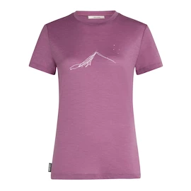 Dames T-shirt Icebreaker Merino 150 Tech Lite SS T South Const Deco