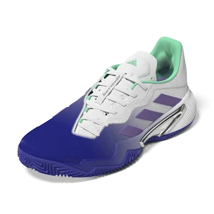 Dames tennisschoenen adidas Barricade W Clay Blue/Violet