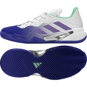 Dames tennisschoenen adidas Barricade W Clay Blue/Violet