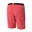 Damesshort The North Face  Speedlight Short Slate Rose