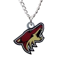 Hanger JF Sports Canada  NHL Arizona Coyotes