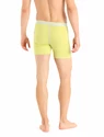 Heren boxershort Icebreaker  Anatomica Ether/Shine