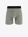 Heren boxershort Under Armour