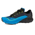 Heren hardloopschoenen Dynafit  ULTRA 50 GTX Black Out/Reef