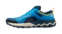 Heren hardloopschoenen Mizuno Wave Ibuki 4 Cloisonné/Blue Opal/Moonstruck  UK 7