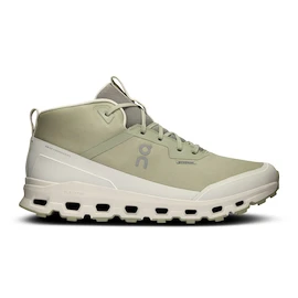 Heren hardloopschoenen On Cloudroam Waterproof Chalk/Ice