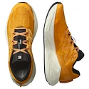 Heren hardloopschoenen Salomon Aero Glide 3 Turmeric/White/Black