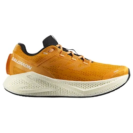 Heren hardloopschoenen Salomon Aero Glide 3 Turmeric/White/Black