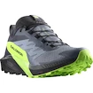 Heren hardloopschoenen Salomon  GTX Flint/Black/Grgeck