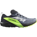 Heren hardloopschoenen Salomon  GTX Flint/Black/Grgeck  UK 11,5