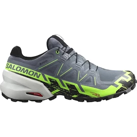 Heren hardloopschoenen Salomon GTX Flint/Grgeck/Black