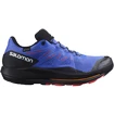 Heren hardloopschoenen Salomon Pulsar Trail GTX Dazzling Blue