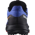 Heren hardloopschoenen Salomon Pulsar Trail GTX Dazzling Blue