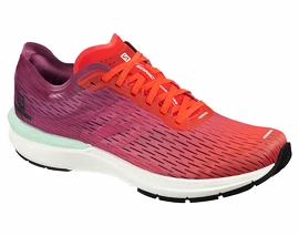 Heren hardloopschoenen Salomon Sonic 3 Accelerate