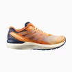 Heren hardloopschoenen Salomon  Sonic Sense 5