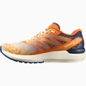 Heren hardloopschoenen Salomon  Sonic Sense 5