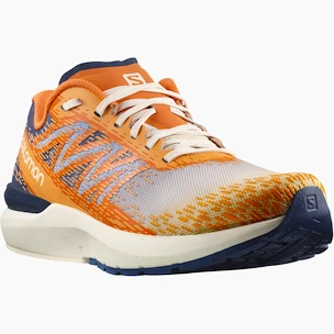 Heren hardloopschoenen Salomon  Sonic Sense 5