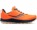 Heren hardloopschoenen Saucony  Peregrine 12 Campfire Stories