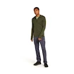 Heren hoodie Icebreaker Merino 260 Quantum IV LS Zip Hoodie Loden