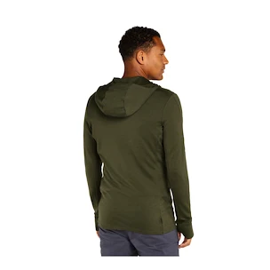 Heren hoodie Icebreaker Merino 260 Quantum IV LS Zip Hoodie Loden