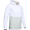 Heren hoodie Under Armour