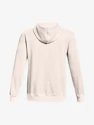 Heren hoodie Under Armour  Essential Heritage Flc HD-WHT