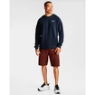 Heren hoodie Under Armour  Rival Cotton Crew