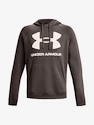 Heren hoodie Under Armour  Rival Fleece Big Logo HD-BRN