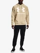 Heren hoodie Under Armour  Rival Fleece Big Logo HD-BRN