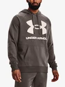 Heren hoodie Under Armour  Rival Fleece Big Logo HD-BRN L